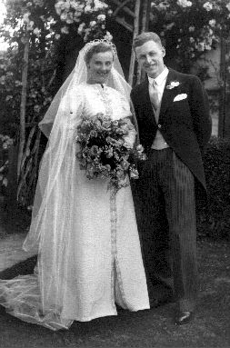 cel2.jpg (27996 bytes)